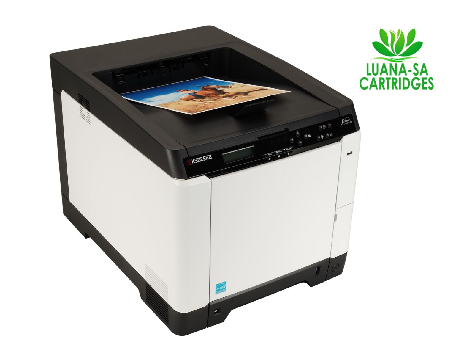Kyocera ECOSYS FS-C5150DN color Network Laser Printer – Luana-SA Cartridges